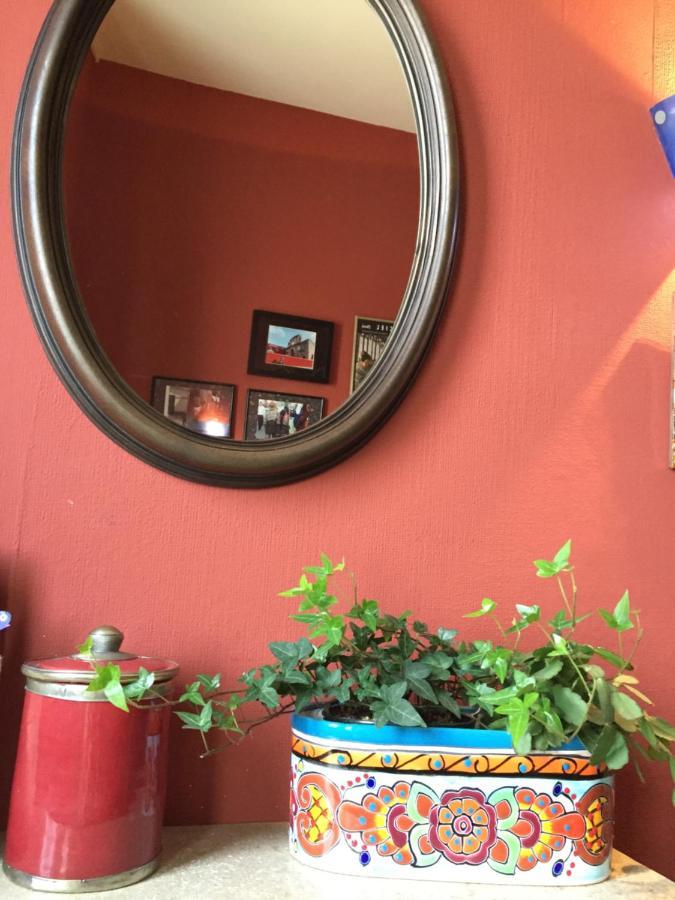 Les Camelias Acomodação com café da manhã Mazamet Exterior foto
