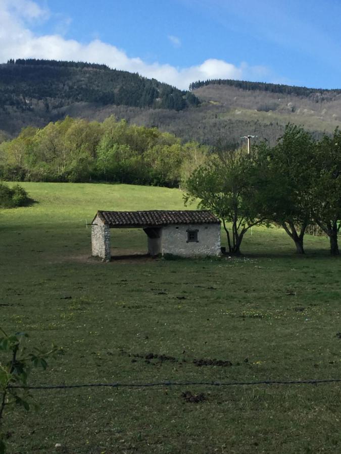 Les Camelias Acomodação com café da manhã Mazamet Exterior foto